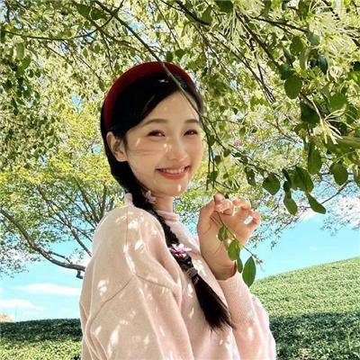 驯鹿总动员